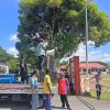 Gelar Aksi, Koalisi Desak Polres Halmahera Selatan Usut Tuntas Dugaan Pengrusakan Tanaman Warga Soligi 