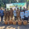 Wabup Helmi Umar Hadiri Panen Tomat Demplot Desa Tawa, Program TEKAD Tunjukkan Hasil Nyata 