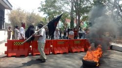 Rencana Parkir Berbayar di RSUD Labuha Ditolak, SAMURAI Malut Gelar Aksi Demo Didepan Kantor Bupati 
